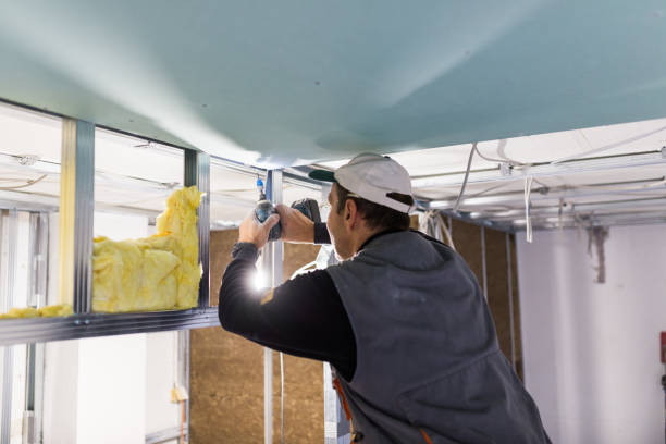 Best Insulation for New Construction  in Raytown, MO