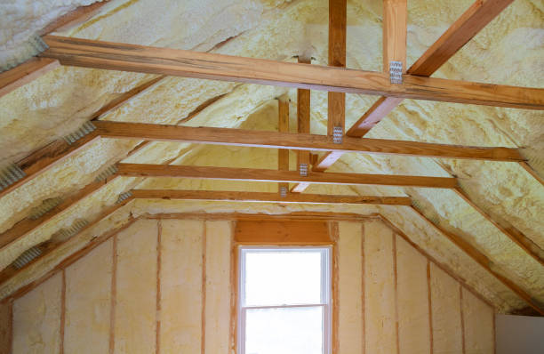 Best Residential Insulation Services  in Raytown, MO