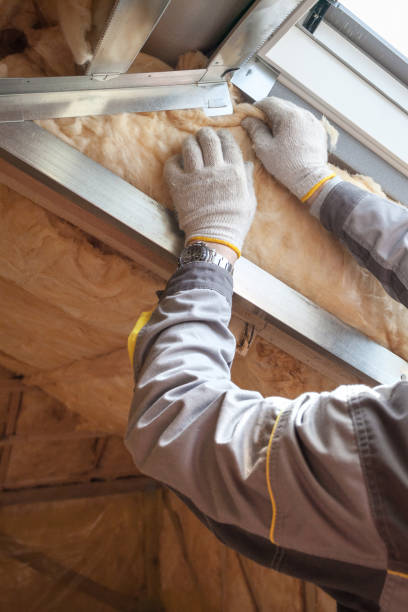 Best Soundproof Insulation Installation  in Raytown, MO
