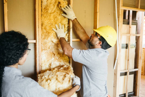 Best Commercial Insulation Contractor  in Raytown, MO