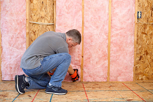 Best Insulation Contractor Near Me  in Raytown, MO