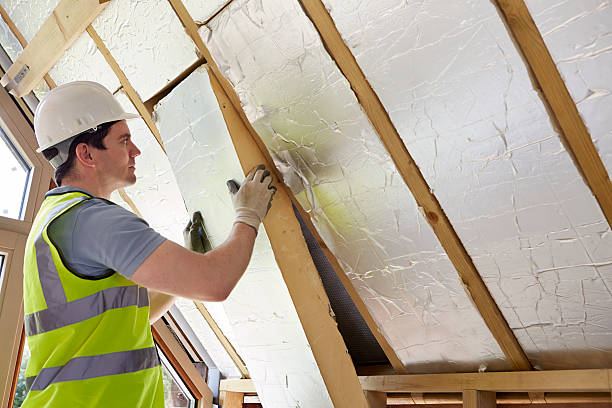 Best Attic Insulation Installation  in Raytown, MO