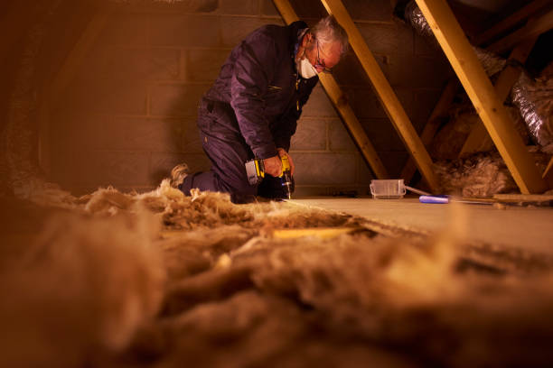 Best Insulation Inspection Services  in Raytown, MO